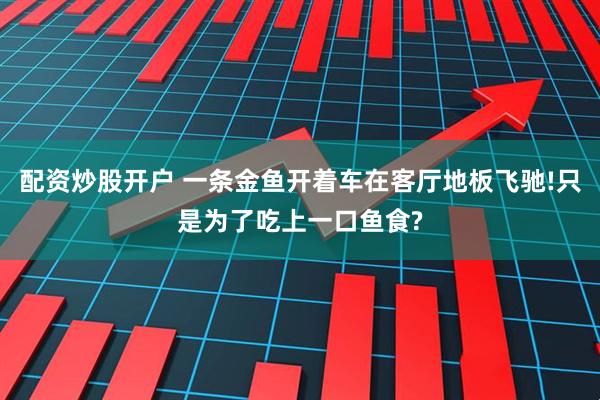 配资炒股开户 一条金鱼开着车在客厅地板飞驰!只是为了吃上一口鱼食?